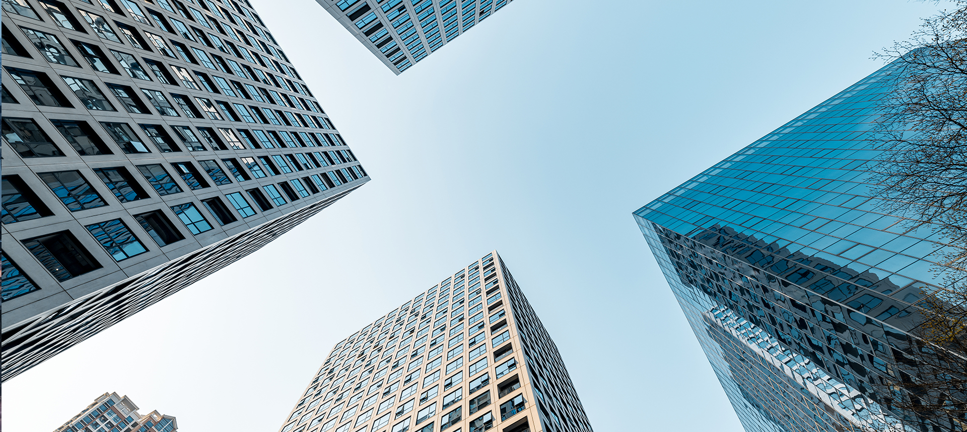 Construction & Infrastructure